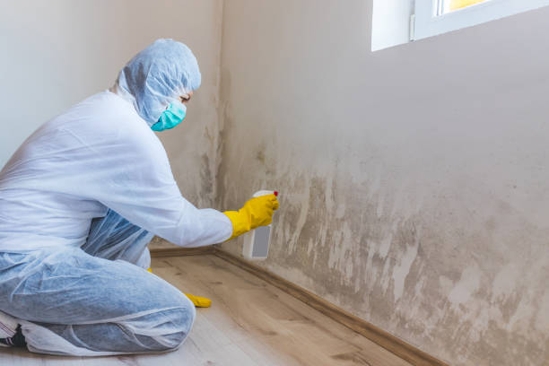 Crawl Space Mold Remediation treatment of floor joists in Rock Hall